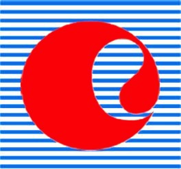 Your Company